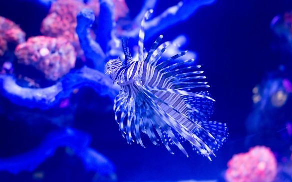 blog6